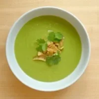 Avocado Soup