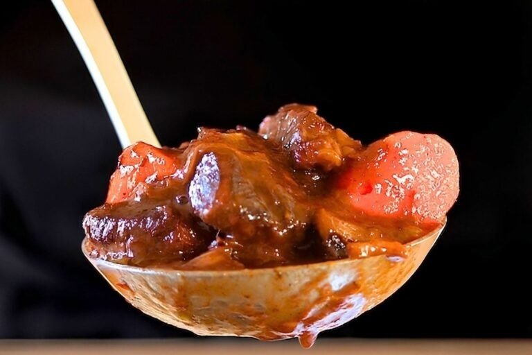 ladel full of beef bourguignon with a back background