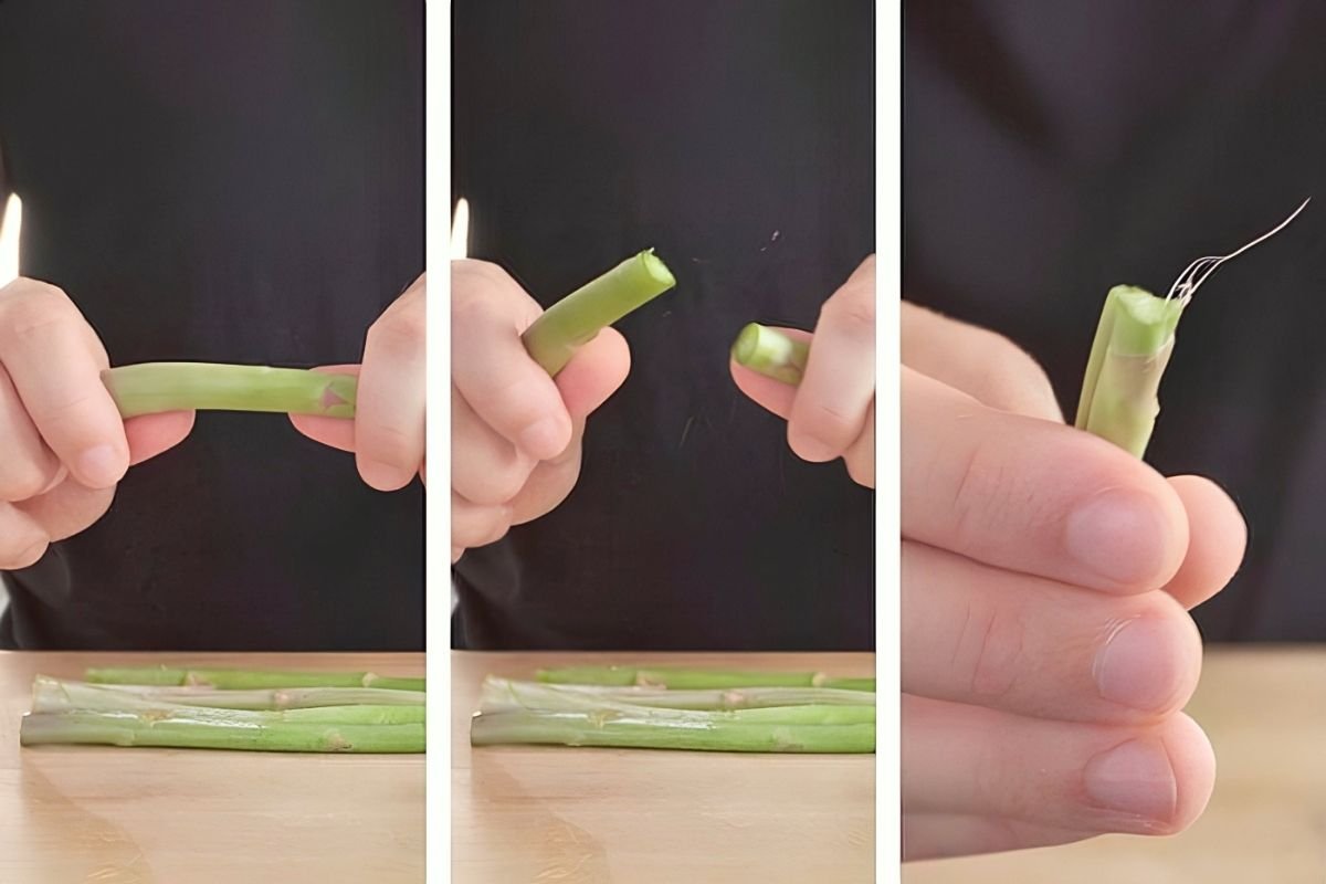 Three step photos of snapping the woody end off an asparagus spear