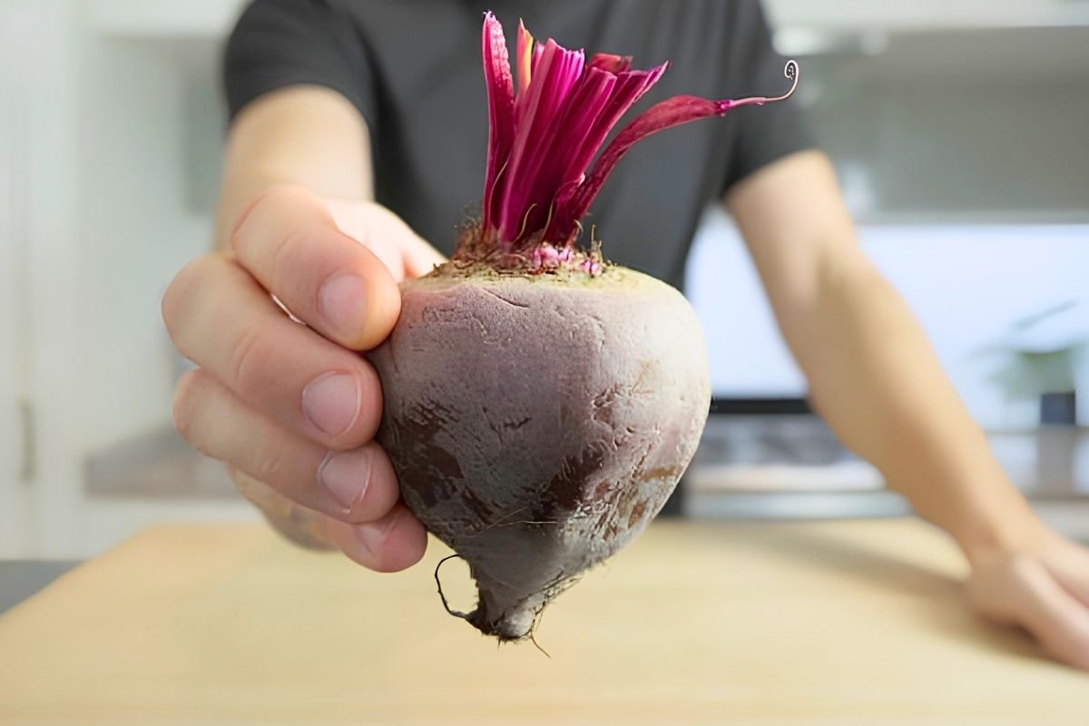 Hand holding a whole raw beetroot with its pink stalks
